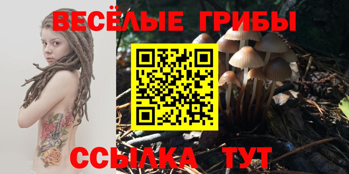 Ефремов  Псилоцибиновые грибы Psilocybine cubensis  Вход с VPN  Псилоцибиновые грибы MAGIC MUSHROOMS 